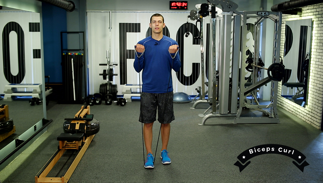 Biceps Curl 54 Biceps Curl 1