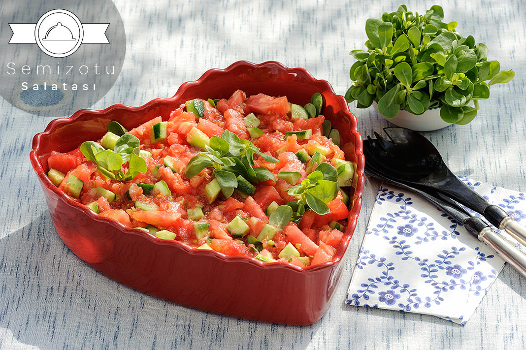 Semizotu Salatası 56 Semizotu Salatasi 1
