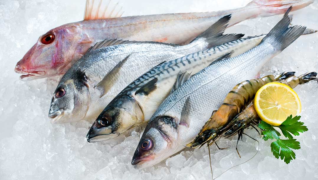 Deniz Balığı mı? Çiftlik Balığı mı? 40 balik yemekleri 1