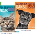 Sahipsiz Hayvanlar İçin CarrefourSA'nın "Dost Hareketi"ne Katılın 41 carrefoursa dost hareketi 1