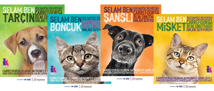 Sahipsiz Hayvanlar İçin CarrefourSA'nın "Dost Hareketi"ne Katılın 48 carrefoursa dost hareketi 1