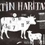 Koyun ve Dana Eti Haritası 41 et haritasi min
