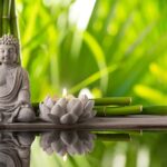 Feng Shui Felsefesine Göre Dekorasyon Önerileri 42 feng shui 1 min