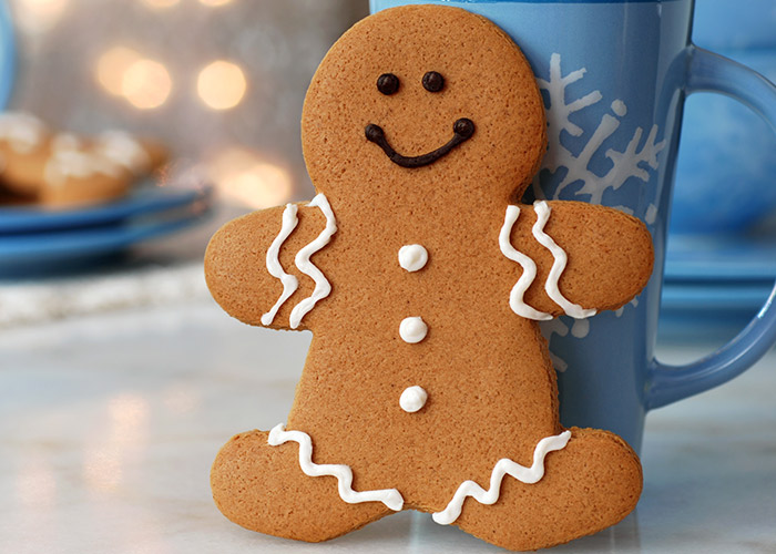 Gingerbread Cookie 44 gingerbread cookie 1