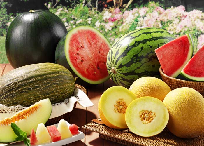 Kavun ve Karpuz Seçmenin İncelikleri 48 kavun karpuz 1