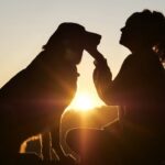 Doğru Köpek Bakımı Nasıl Olur? 42 kopek bakimi min