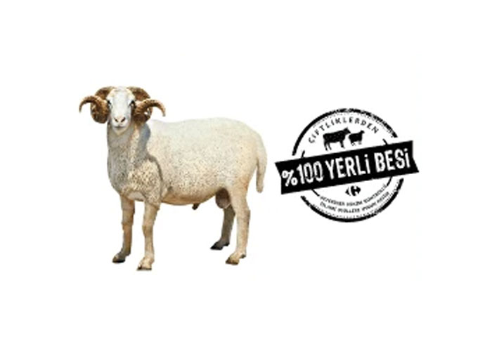 CarrefourSA Kurbanlık Fiyatları 54 kurbanlik koc 1