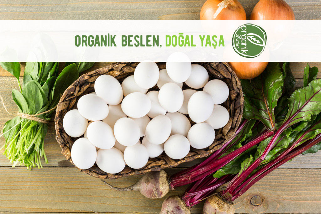 Organik Beslenme 54 organik beslenme 1