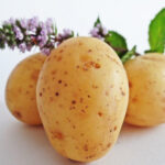 Mutfakların Vazgeçilmez İkilisi Patates ve Soğan 41 patates 3