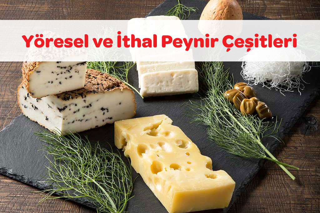 Peynir Çeşitleri 52 peynir cesitleri 1