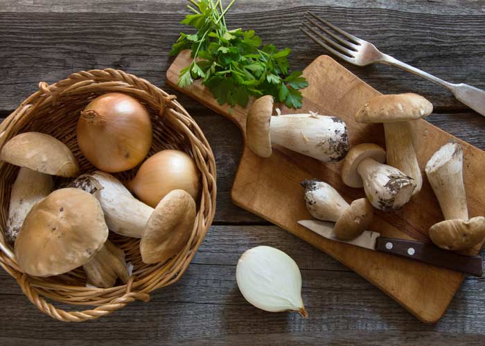 Porçini Mantar Soslu Bonfile 48 porcini mantar 1
