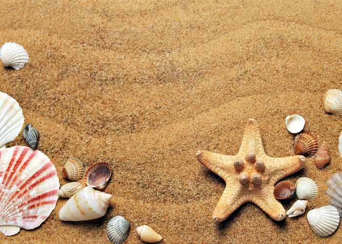 Eksiksiz Bir Yaz Tatili Hazırlığı İçin Yapmanız Gerekenler 54 tatil listesi 1