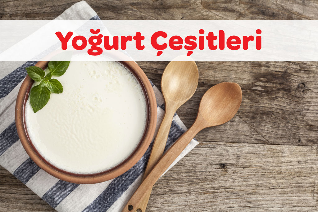 Yoğurt Çeşitleri 48 yogurt cesitleri 1