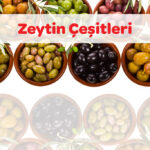 Zeytin Çeşitleri 43 zeytin cesitleri 1 1
